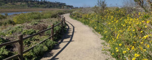 best hiking trails San Diego, Coast to Crest hiking trail